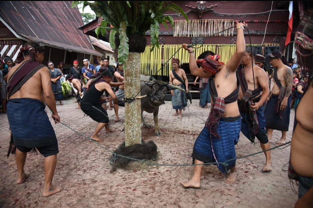 Mengenal Upacara Adat 'Horja Bius' Khas Suku Batak Toba