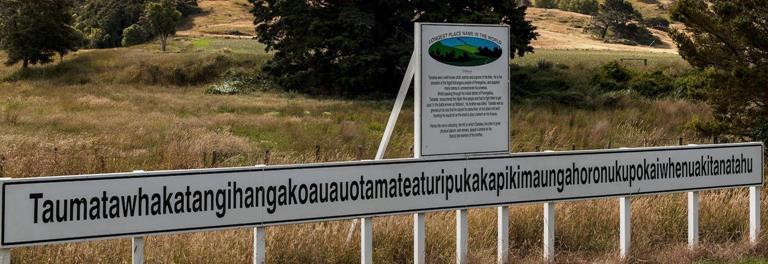 Terdiri dari 105 Huruf, Nama Bukit di Selandia Baru Ini Masuk Guinness World Records