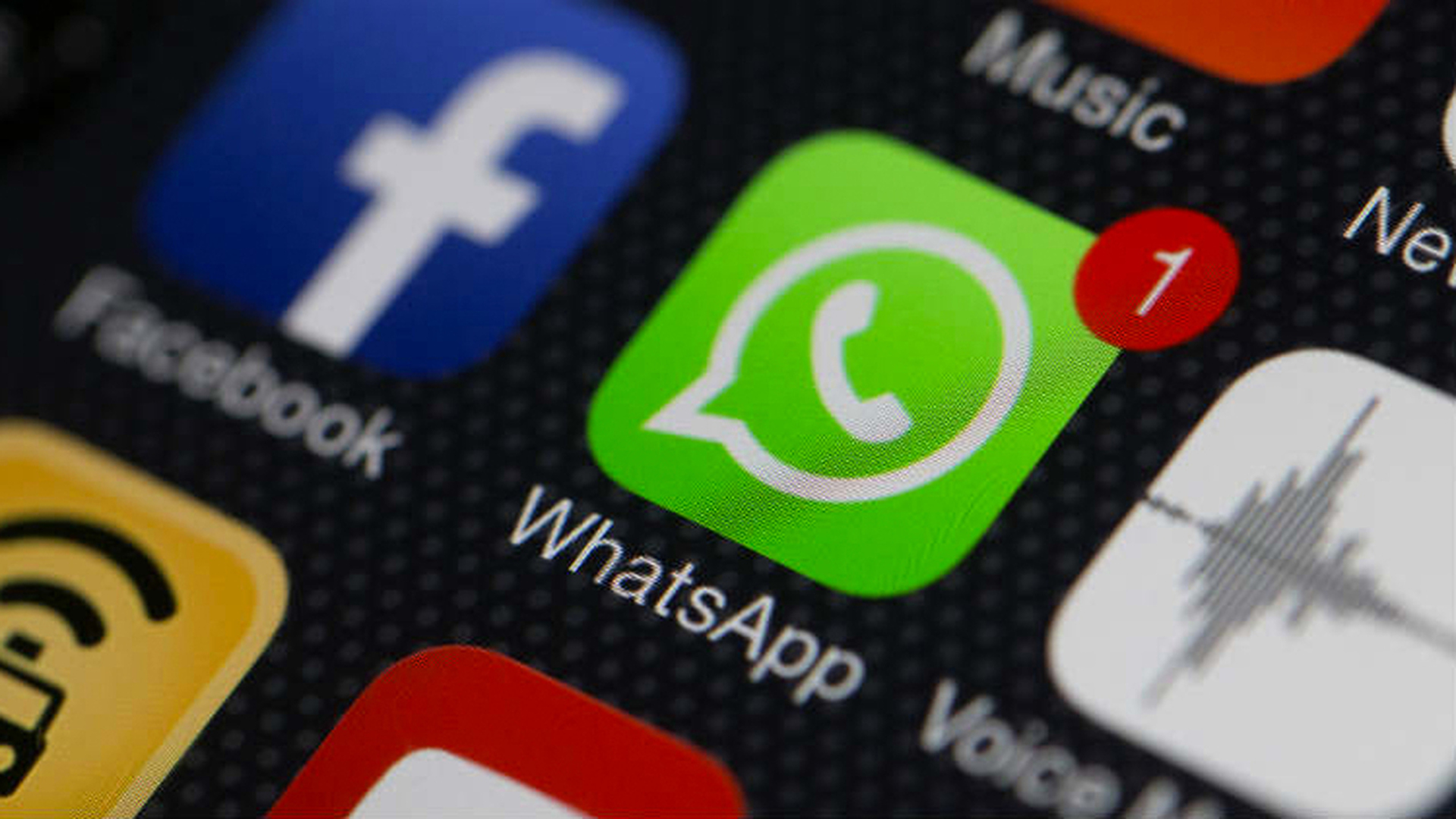 WhatsApp Bisa Dipakai Belanja Online