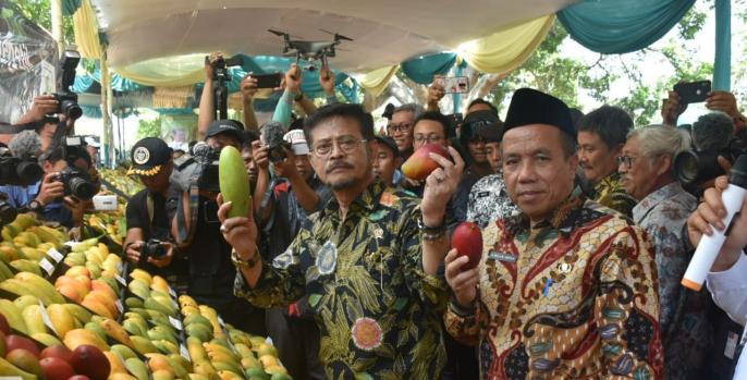 Menilik Varietas Mangga dan Anggur Pasuruan, Komoditas Buah Andalan Indonesia