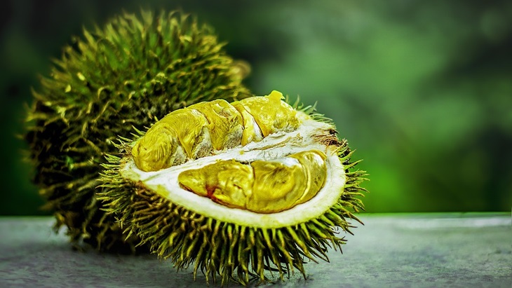Durian Medan Ternyata Jadi Idaman di Singapura!