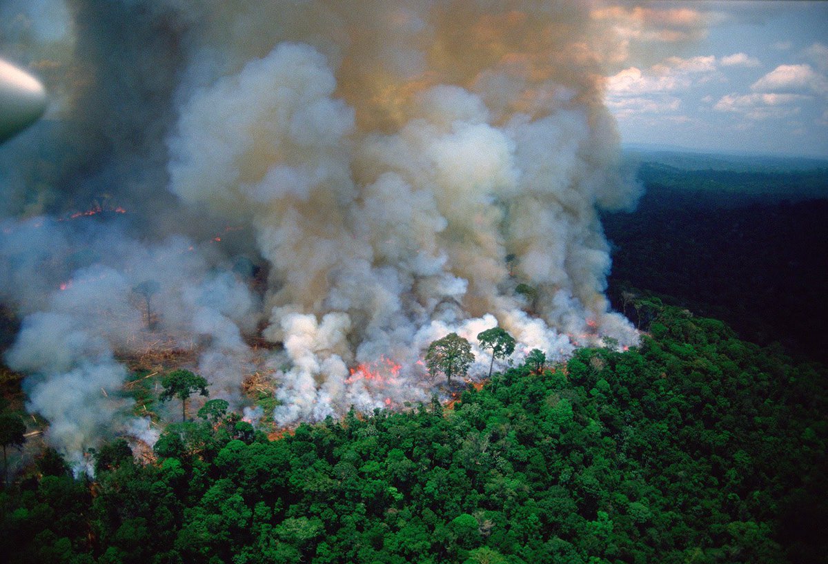 Terbakarnya Hutan Amazon Menjadi Kebakaran Terburuk Sepanjang Masa Di ...