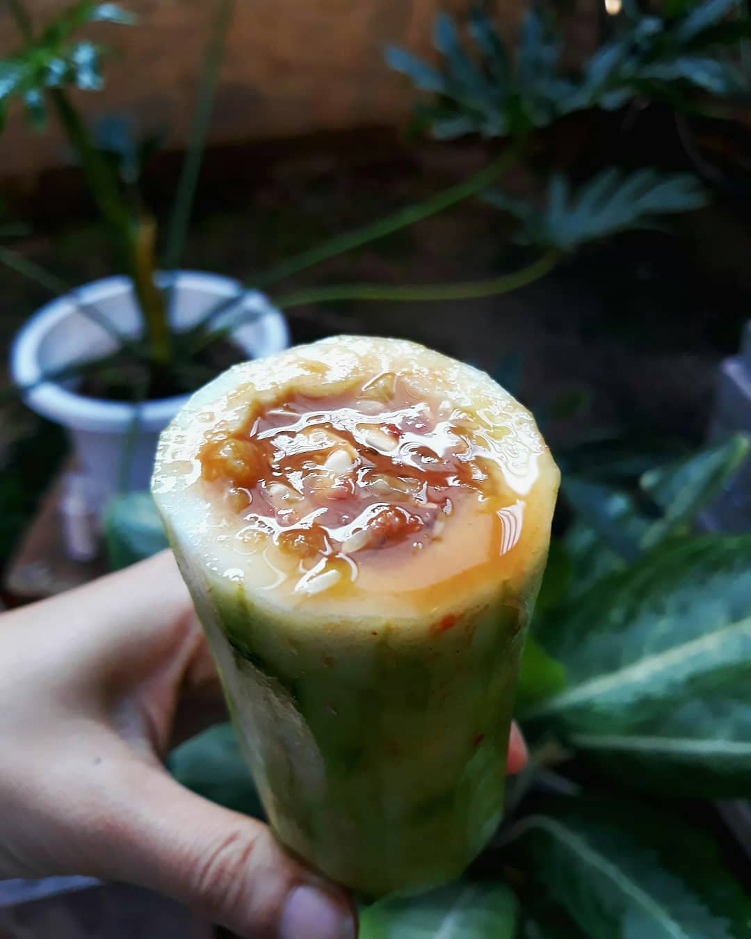 Rujak Coreg
