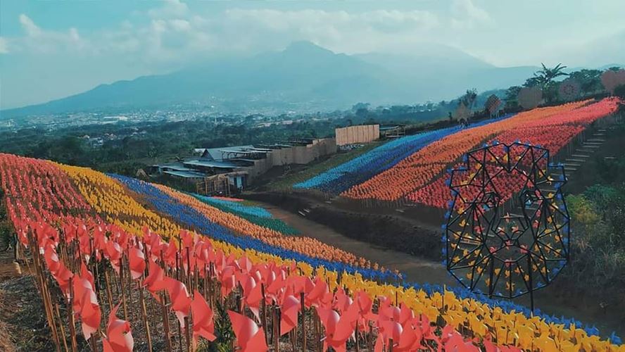 Bumi Kitiran, Wisata Kota Batu dengan Hamparan Kincir Angin Warna-warni
