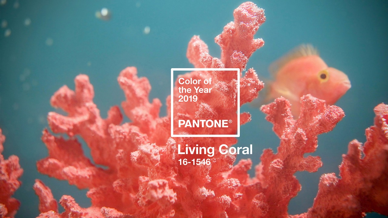 Makna Di Balik Living Coral Sebagai Tren Warna Pantone 2019