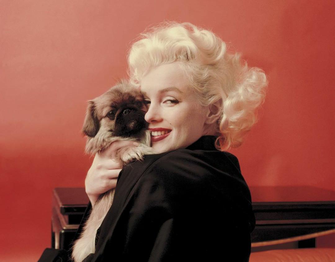 7 Teori Konspirasi Soal Kematian Marilyn Monroe