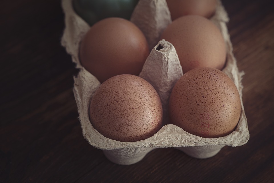 Telur Ayam di Jatim Mengandung Zat Pemicu Tumor dan Kanker, Benarkah?