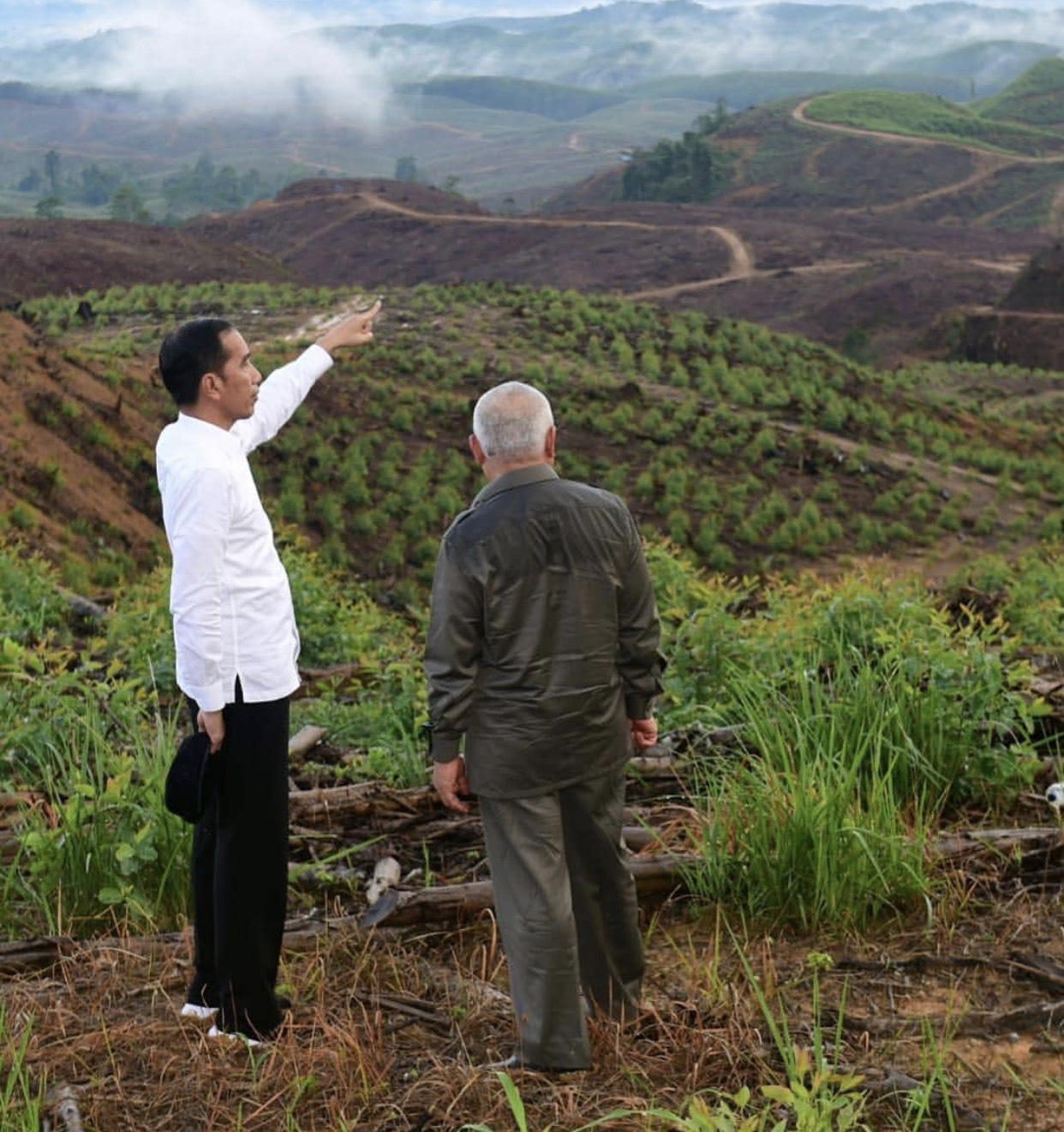 Lihat Pemandangan, Presiden Joko Widodo Sambangi Calon Ibu Kota Indonesia