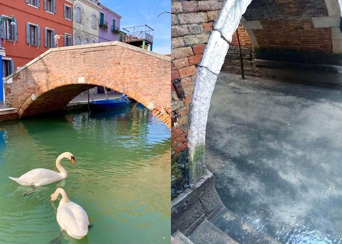 Hikmah Wabah Corona di Italia, Kanal-kanal di Venesia Kembali Jernih