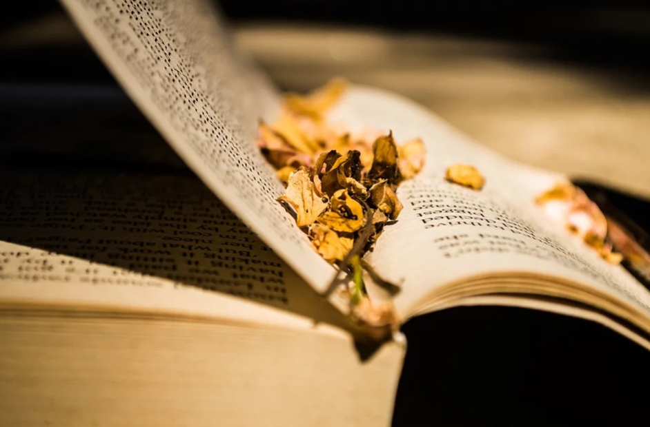 5 Novel Bertema Pandemi yang Relate Banget dengan Situasi Sekarang
