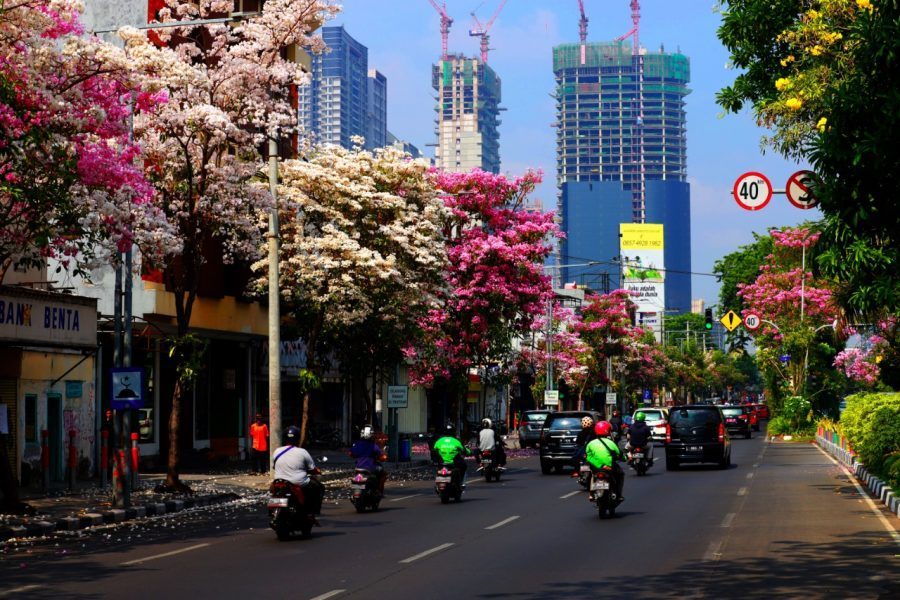 Selama Pandemi COVID-19, Kualitas Udara di Kota Surabaya Membaik