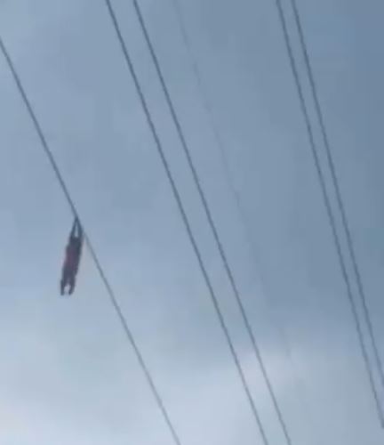 Viral Bocah Terangkat di Kabel Sutet, Pihak PLN Minta Maaf 