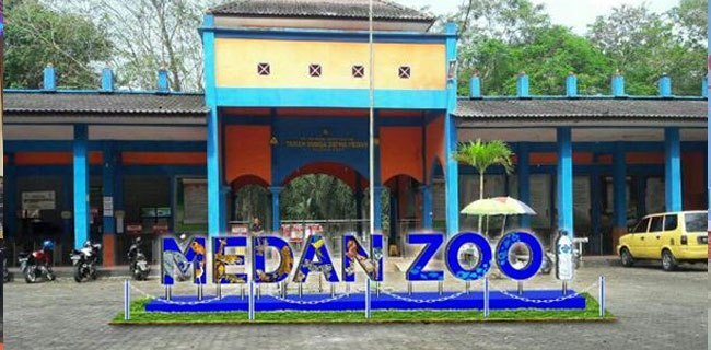Penuhi Pakan Ratusan Hewan, Medan Zoo Galang Koin Donasi 