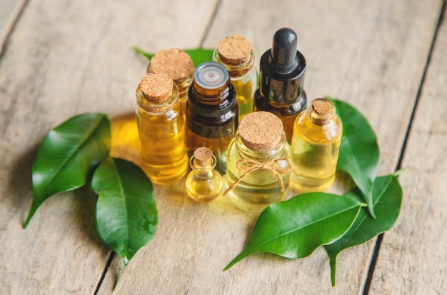 manfaat tea tree oil untuk kesehatan kulit