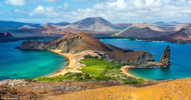 Google Doodle Tampilkan Keindahan Kepulauan Galapagos