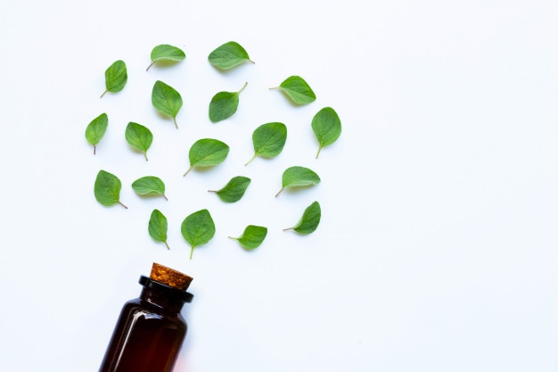 1591323364-minyak-oregano-(1).jpg