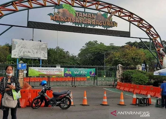 Warga Jakarta, Ragunan Buka Lagi 20 Juni! 