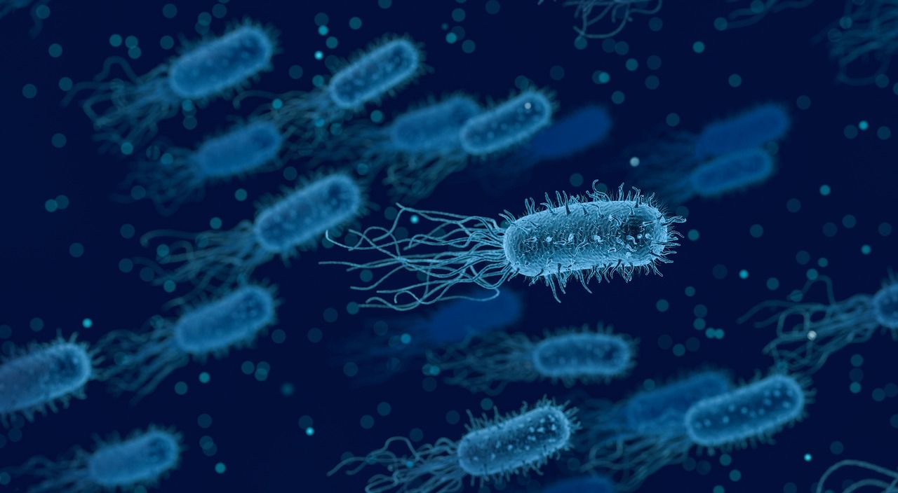 1593094860-bakteri-listeria-pixabay.jpg