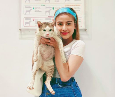 Viral Kucing 'Nge-Freeze', Awkarin: Sudah Ditangani Pet Clinic