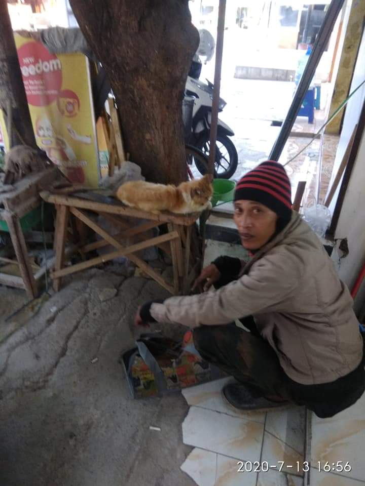 Tolong Kucing Jalanan, Pria Ini Tuai Sumpah Serapah dari Netizen