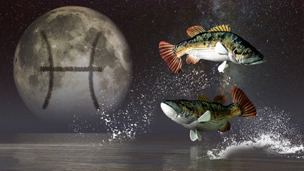 1595316867-pisces-(2).jpg