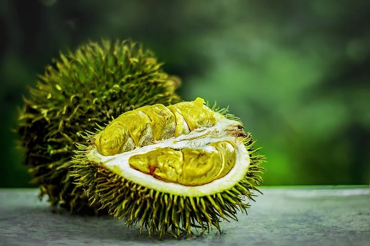 Sumut Ekspor Durian Beku ke Malaysia dan Tiongkok 
