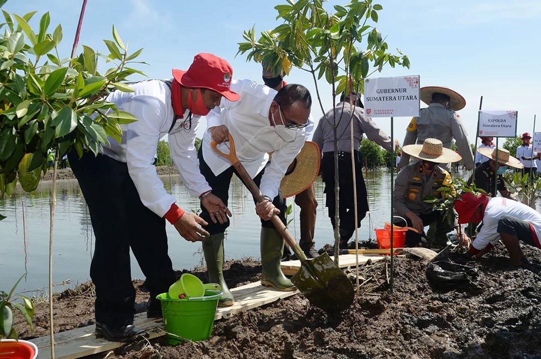 Gubernur Sumut Edy Rahmayadi Ajak Warga Lestarikan Hutan Mangrove