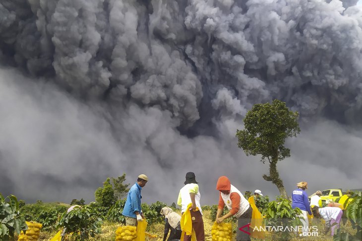 Gunung Sinabung Erupsi 3 Kali Sejak Kamis Pagi