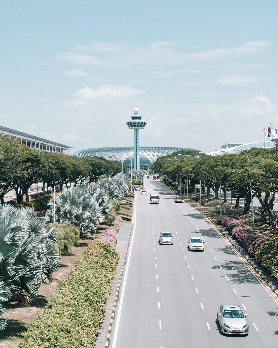 Singapura Buka Penerbangan untuk Pengunjung Brunei dan Selandia Baru