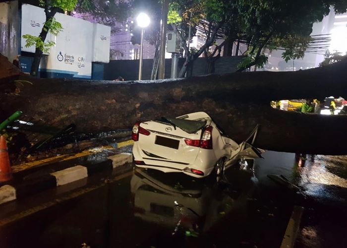Pohon Tumbang di Menteng Jakarta Pusat Timpa Mobil Parkir