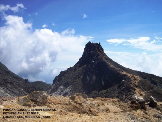 Duh! Harimau Sumatera Sering Berkeliaran di Kawasan Gunung Sibayak