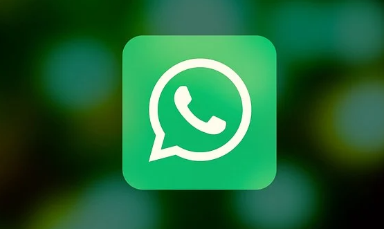 WhatsApp Muncul di Status Pengguna Bikin Netizen Heboh