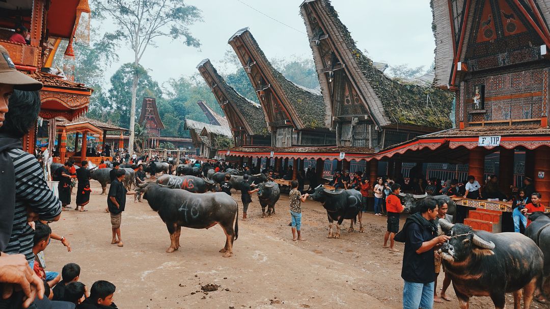 Mengenal Rambu Solo, Tradisi Masyarakat Toraja untuk Pemakaman Jenazah