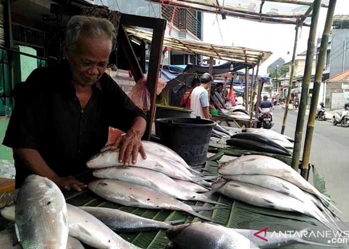  Harga  Bandeng Melonjak Efek Banjir Penjual Dadakan 