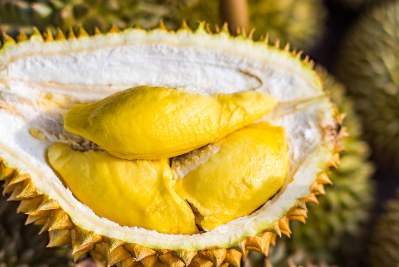 Baterai Smartphone Terbuat dari Durian, Mungkinkah?