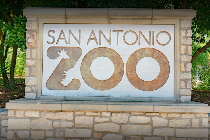 Wah! Kebun Binatang San Antonio Bisa Ubah 'Mantan Pacar' Jadi Makanan Hewan