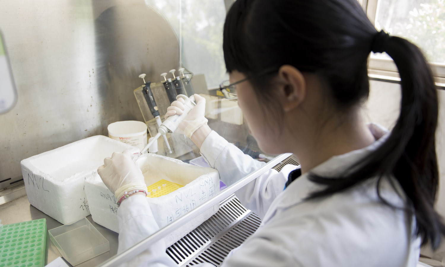 Mengenal Disease X, Virus Baru yang Diprediksi Bakal Jadi Pandemi