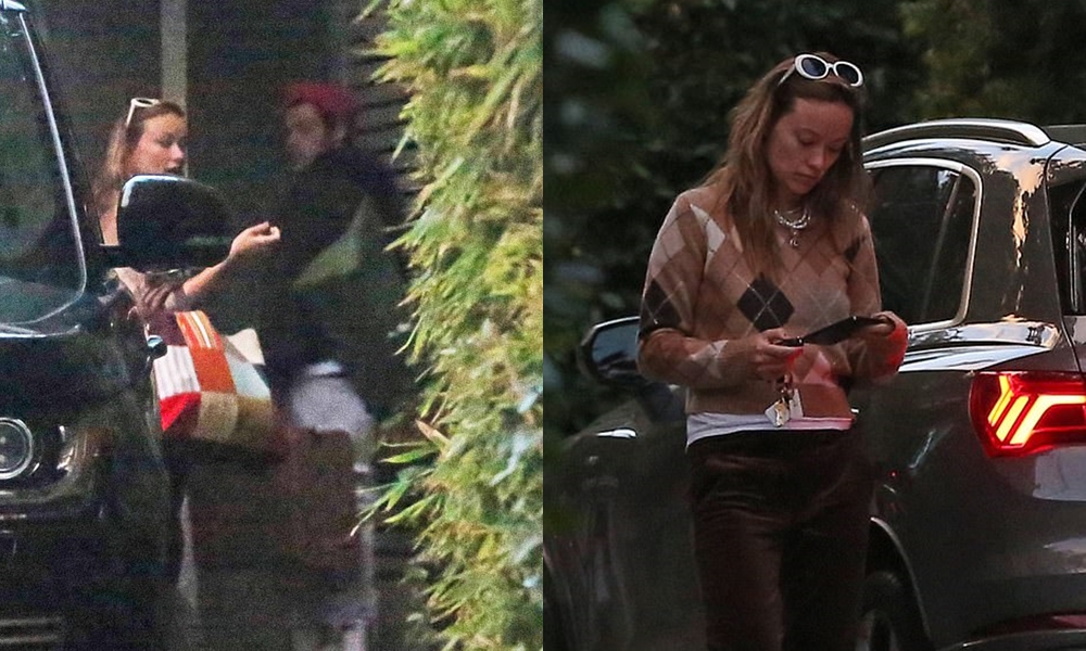 1609819136-Harry-Styles-dan-Olivia-Wilde-kembali-tertangkap-kamera-saat-tiba-di-rumahnya-di-Los-Angeles-dengan-barang-bawaan-mereka.jpg