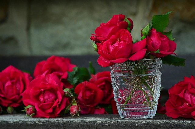 1614869249-bunga-mawar-merah-congerdesign.jpg