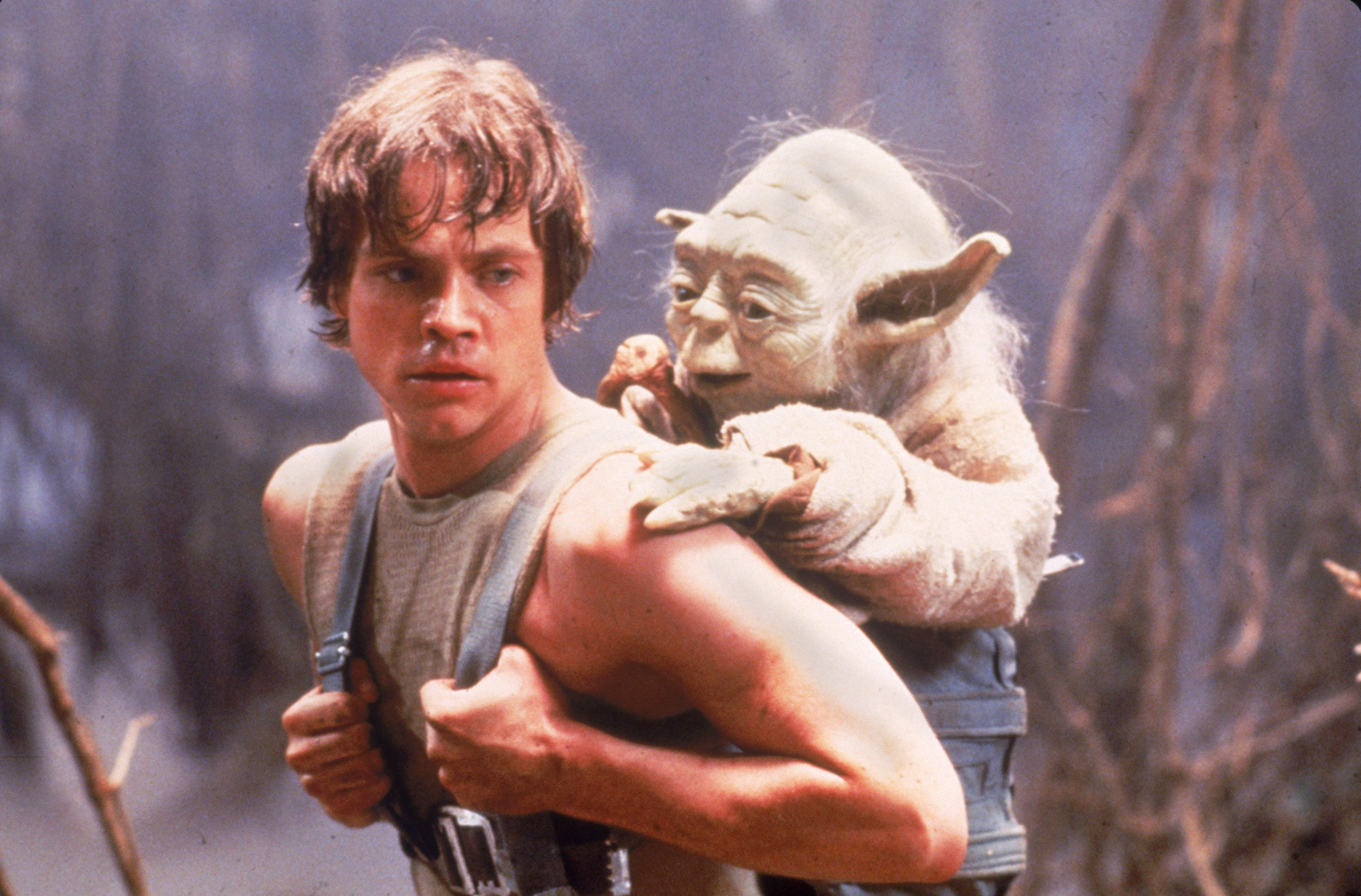 1620114679-Luke-Skywalker-(Mark-Hamill)--dan-Kershner-(Yoda-Irvin).jpg