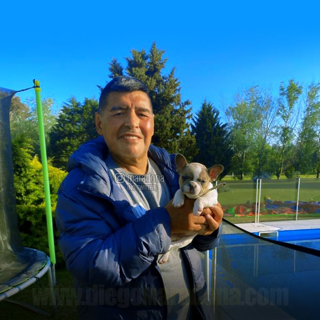 Keluarga Ungkap Keinginan Bangun Mausoleum untuk Maradona