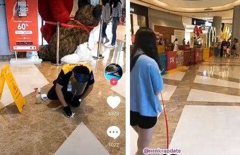Viral Petugas Kebersihan Bersihkan Kotoran Anjing di Mall