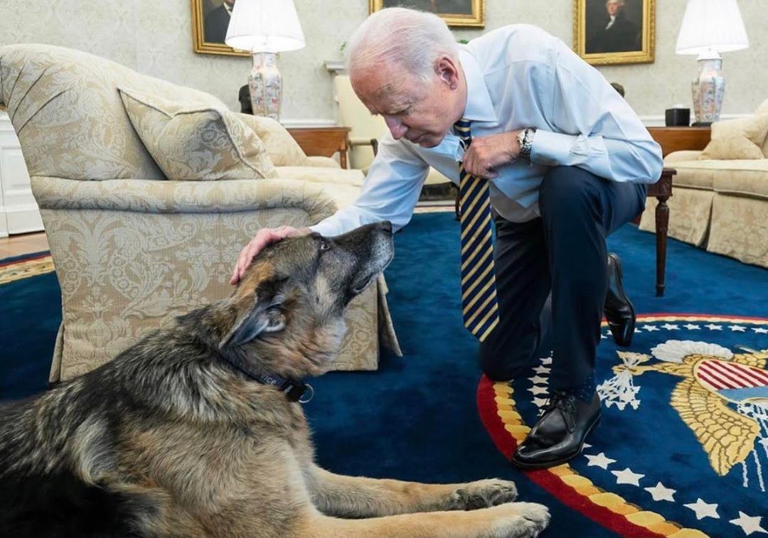 Anjing Kesayangan Meninggal Dunia, Joe Biden Berduka