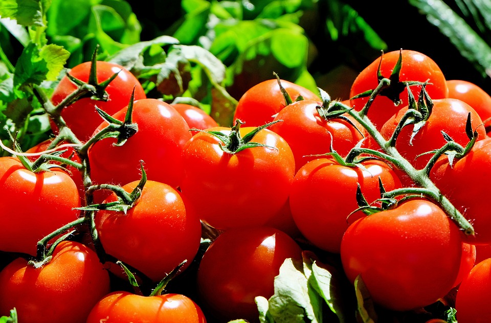 1627107976-tomat-Couleur-pixabay.jpeg