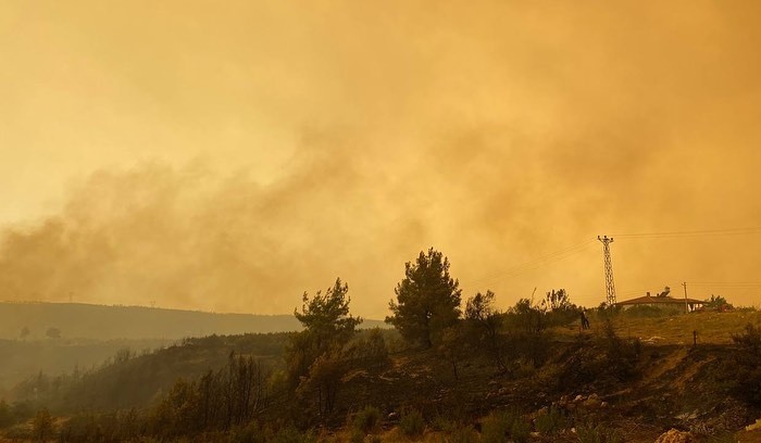 Kebakaran di Turki Jadi Bencana Nasional, Pray For Turkey Menggema di Medsos
