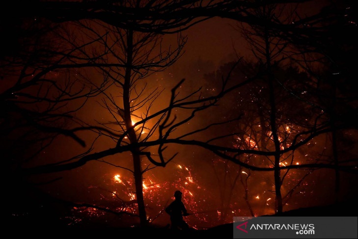 Ribuan Orang Dievakuasi Akibat Kebakaran Hutan di Yunani
