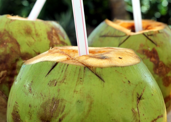 Bisakah Air Kelapa Perkuat Daya Tahan Tubuh? Berikut Faktanya