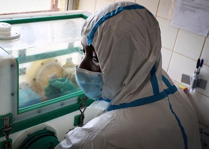 Selain Corona, Wabah Ebola dan Virus Marburg Juga Melanda Afrika Barat 