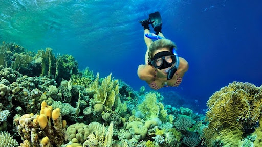 Pulau Peucang, Surga Tersembunyi di Taman Nasional Ujung Kulon