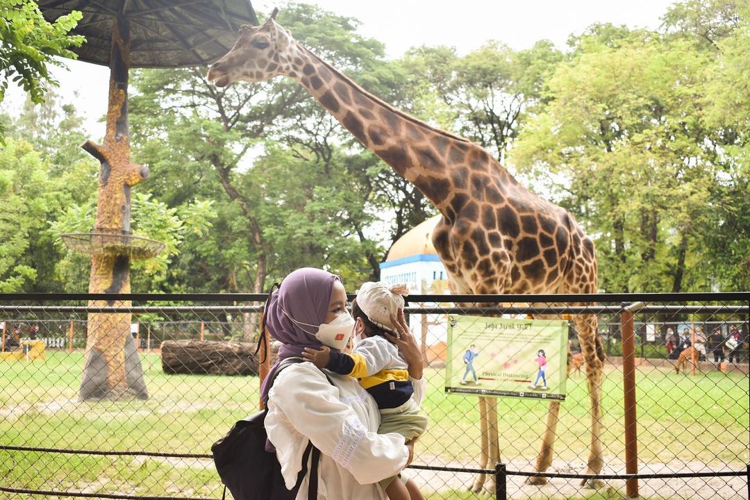 Kebun Binatang Surabaya Kembali Buka, Cek Syarat dan Aturannya!